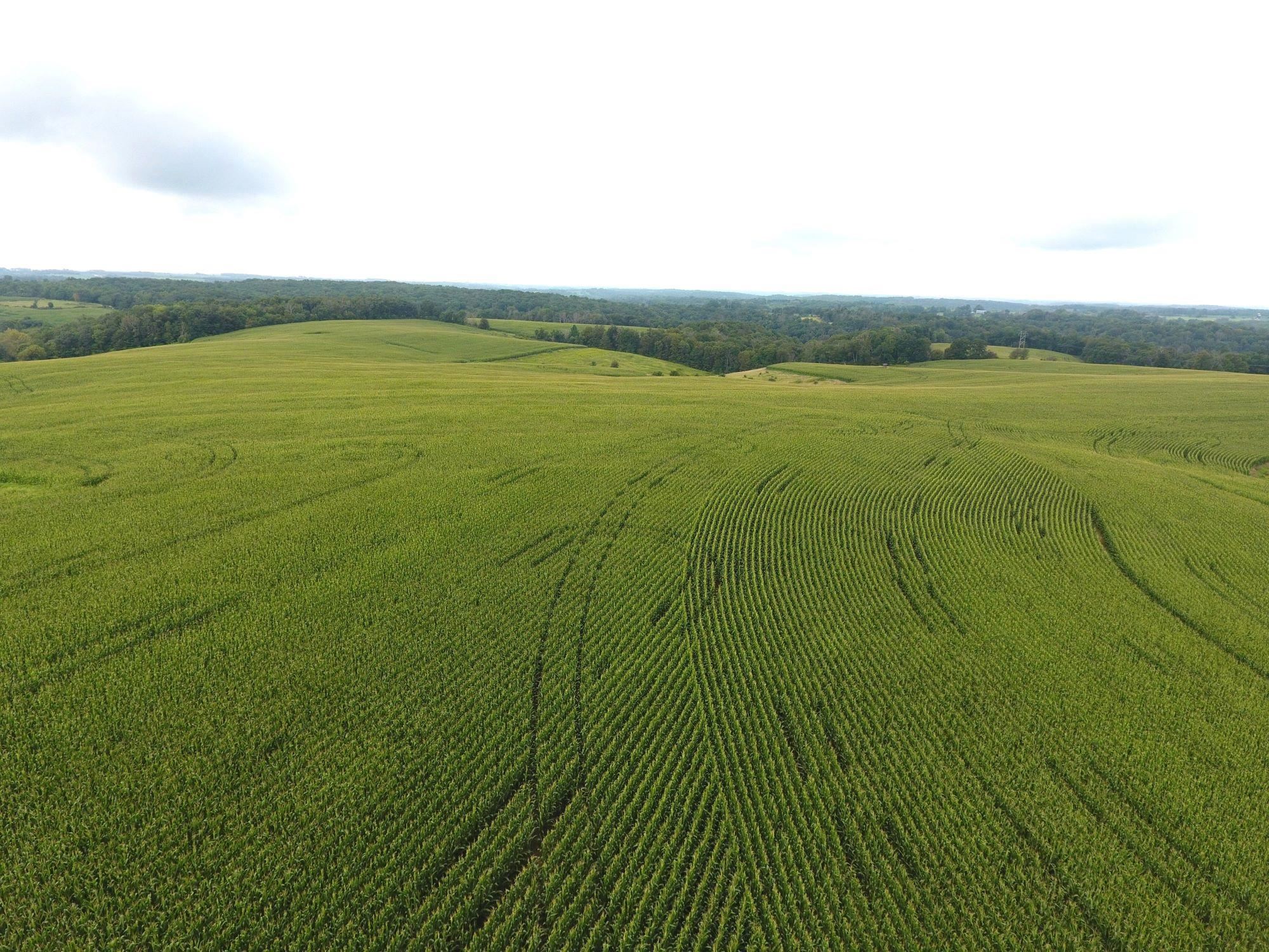 126.75-acres Booth Viola, WI 54664 - Photo 4 of 8