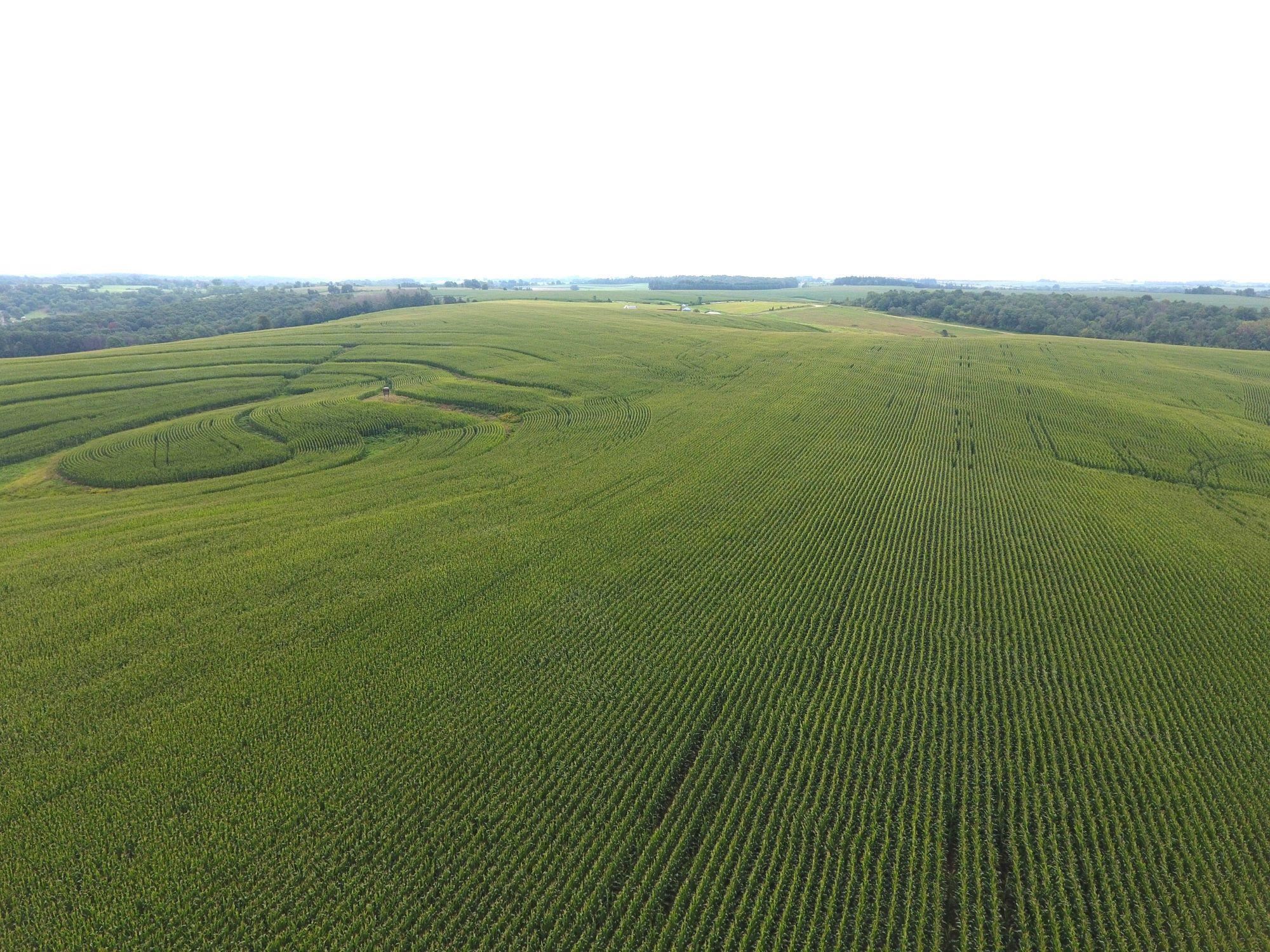 126.75-acres Booth Viola, WI 54664 - Photo 5 of 8