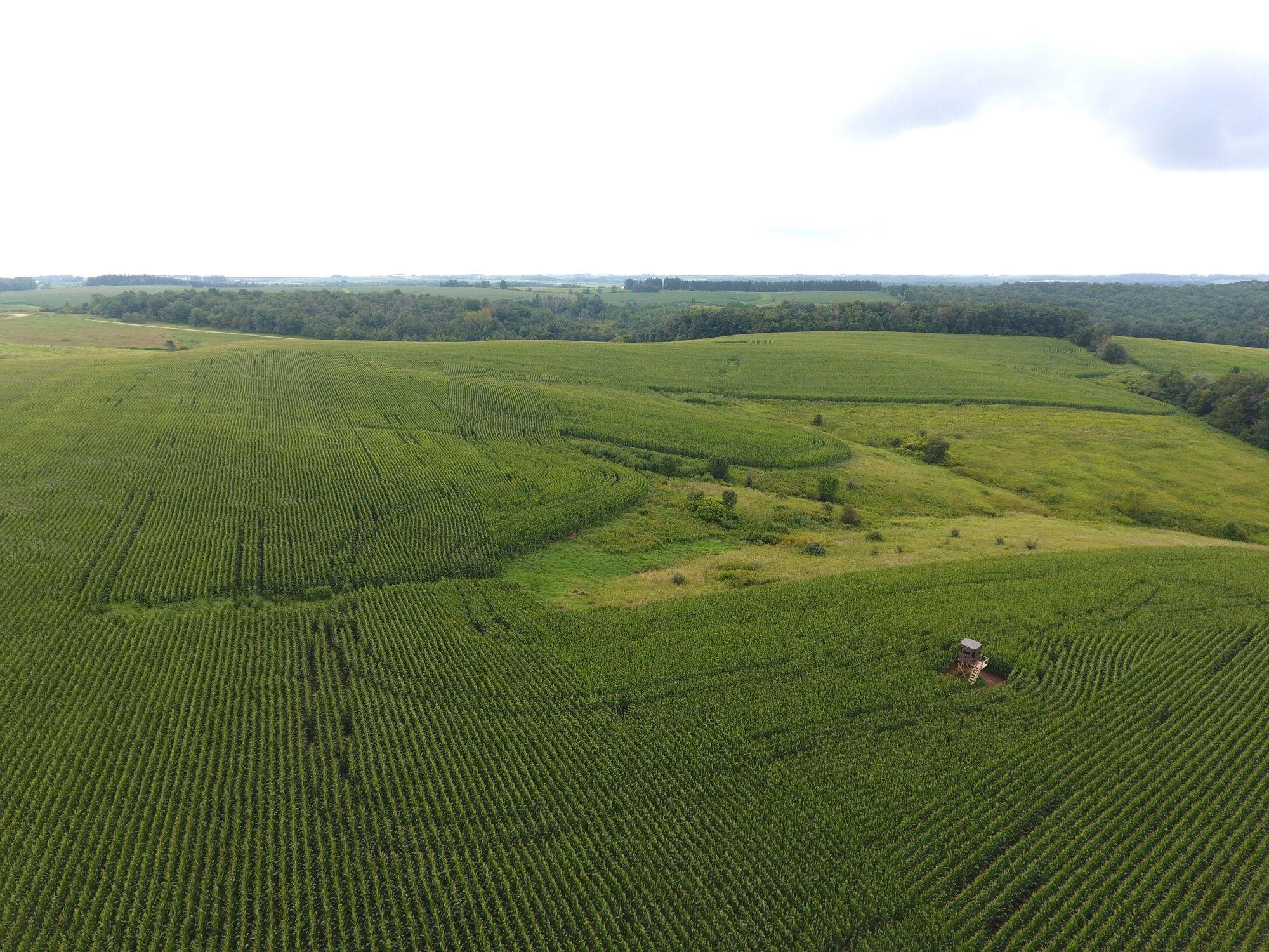 126.75-acres Booth Viola, WI 54664 - Photo 6 of 8