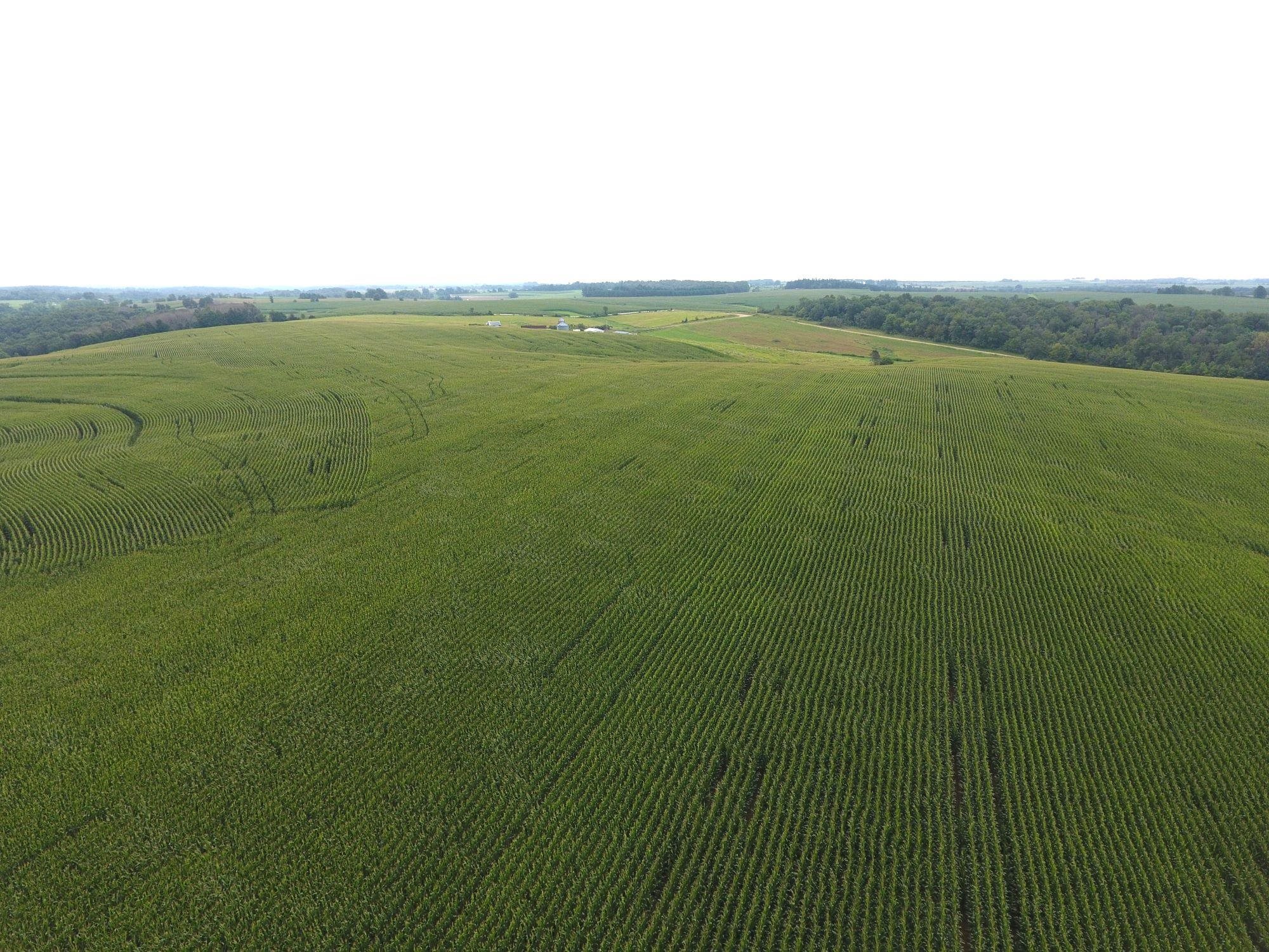 126.75-acres Booth Viola, WI 54664 - Photo 7 of 8