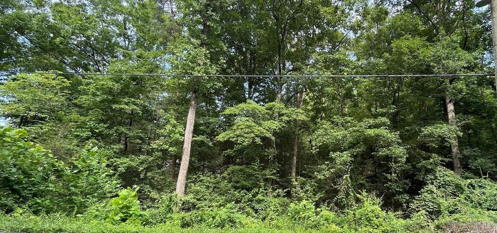 14 Alpine Drive Sevierville, TN 37876 - Photo 1 of 12