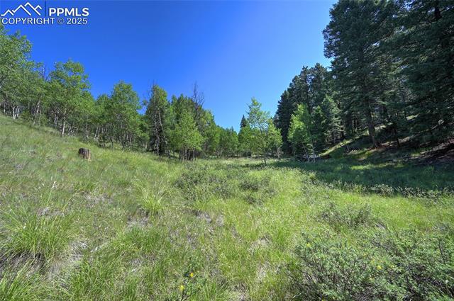 412 Princess Road Cripple Creek, CO 80813 - Photo 20 of 45 Gallery Image 20