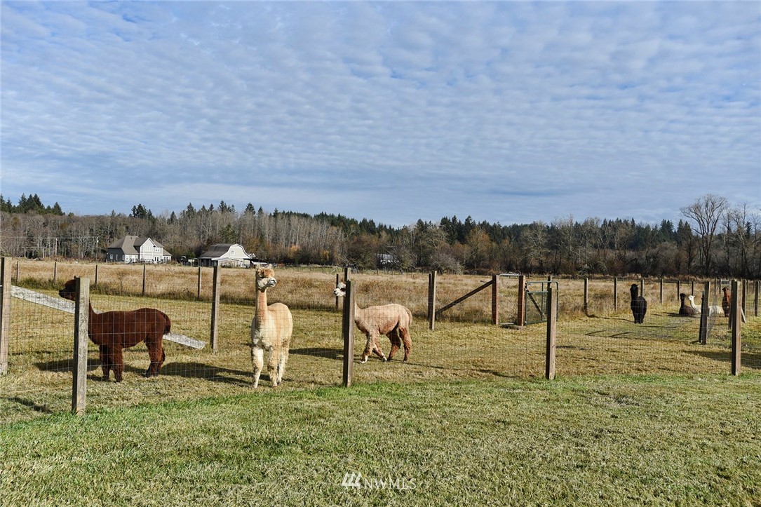 25448 Port Gamble Road Northeast Poulsbo, WA 98370 - Photo 24 of 25 Gallery Image 24