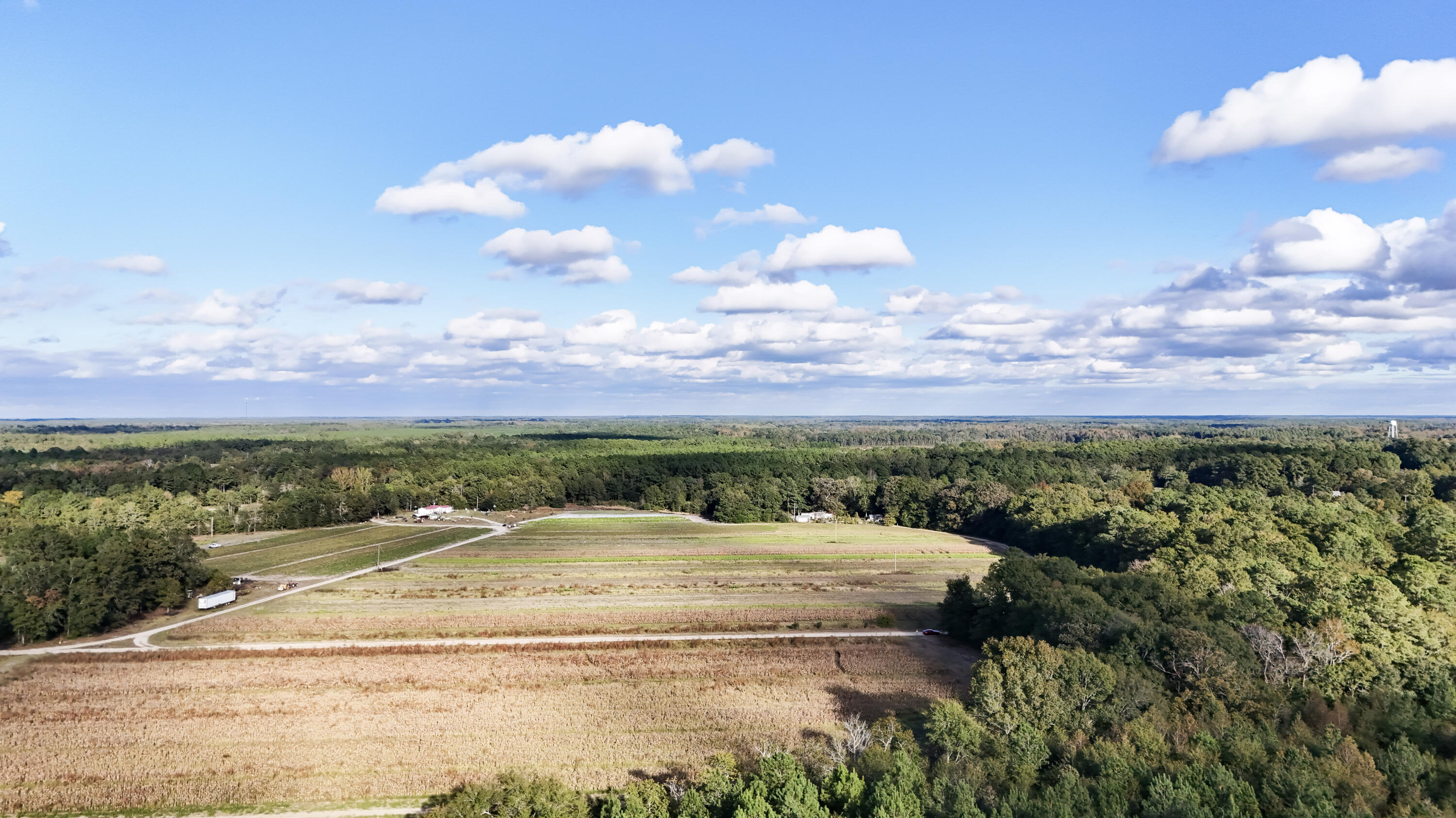 0 Chavis Road Blackville, SC 29817 - Photo 1 of 12 54-DJI_20251031044627_0219_D