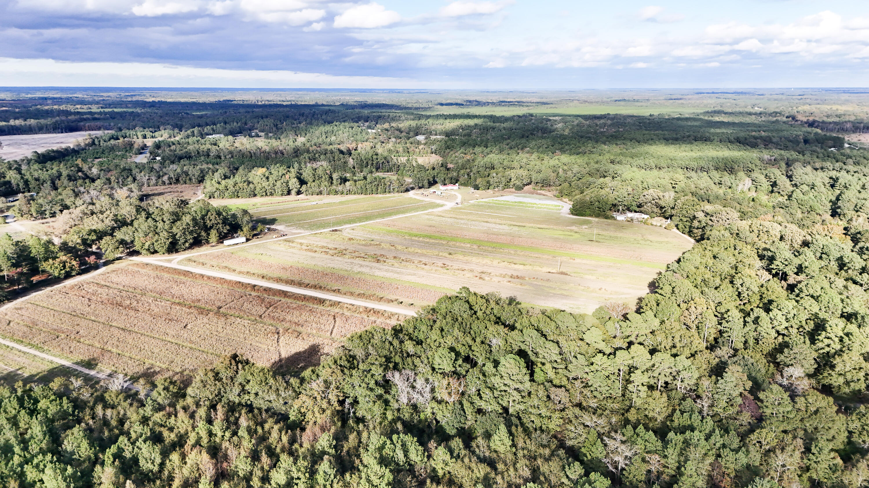 0 Chavis Road Blackville, SC 29817 - Photo 11 of 12 48-DJI_20251031044750_0224_D