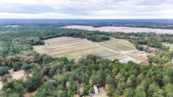 $129,990 | 0 Chavis Road, Blackville, SC 29817