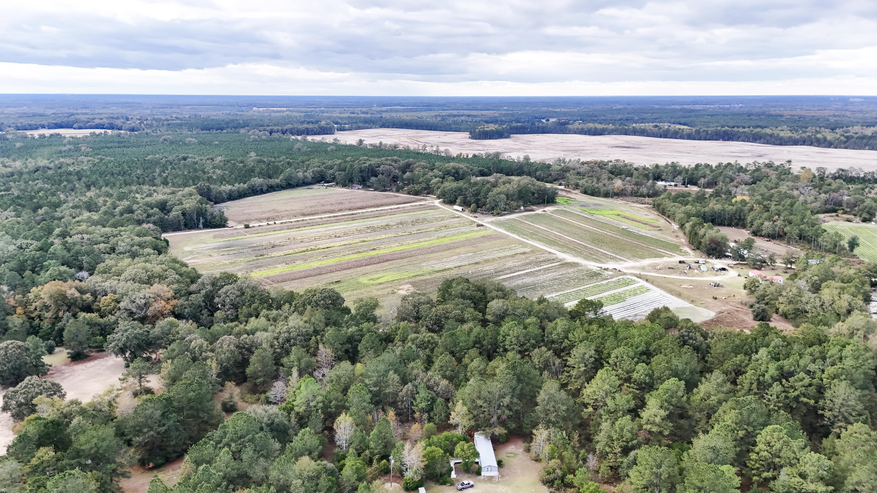 0 Chavis Road Blackville, SC 29817 - Photo 12 of 12 32-DJI_20251031045401_0240_D