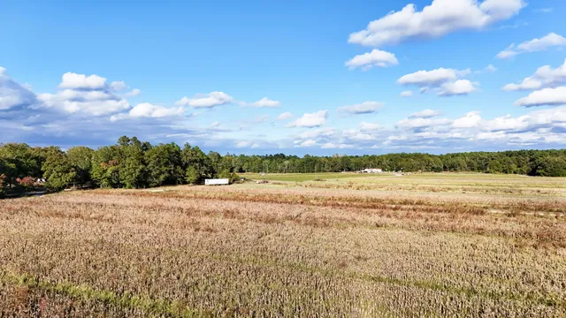 $145,000 | 0 Chavis Road, Blackville, SC 29817