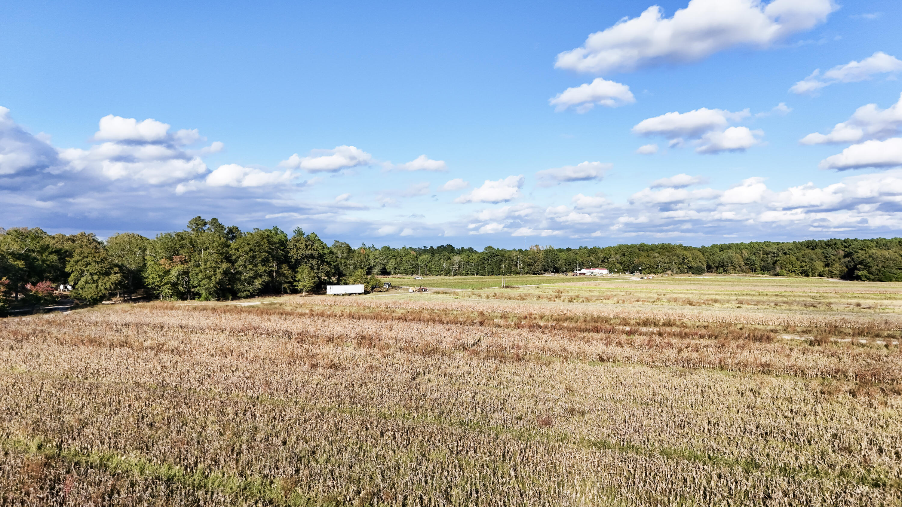 0 Chavis Road Blackville, SC 29817 - Photo 2 of 12 56-DJI_20251031044533_0217_D