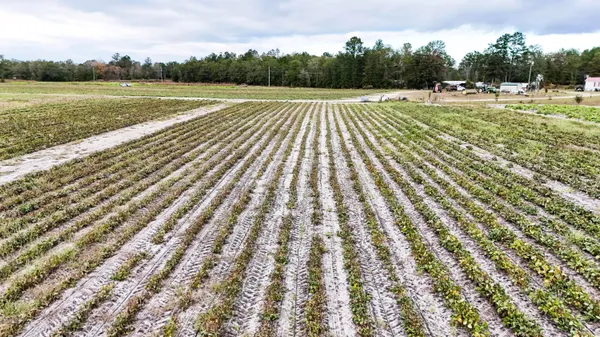 $129,990 | 0 Chavis Road, Blackville, SC 29817