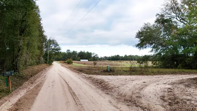 $145,000 | 0 Chavis Road, Blackville, SC 29817