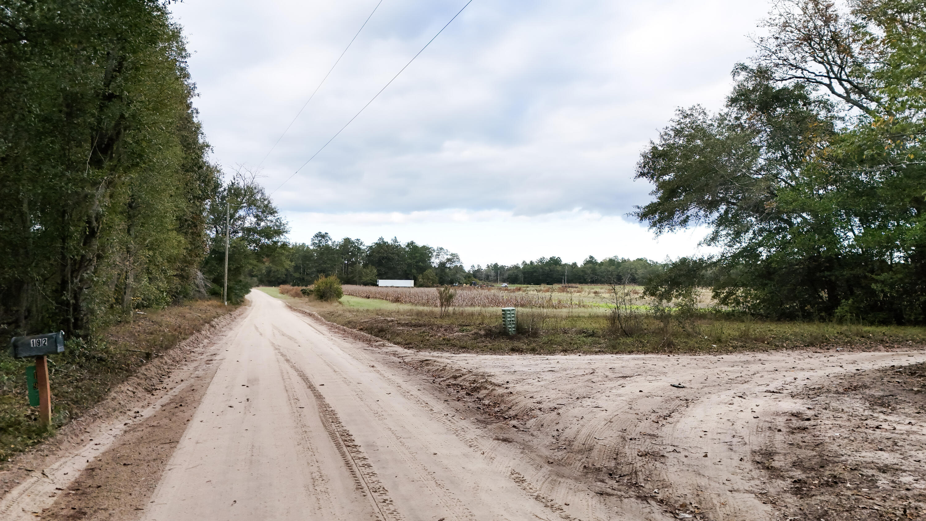 0 Chavis Road Blackville, SC 29817 - Photo 3 of 12 2-DJI_20251031050527_0271_D