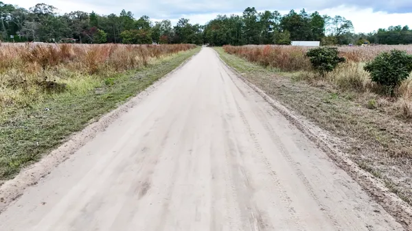 $129,990 | 0 Chavis Road, Blackville, SC 29817