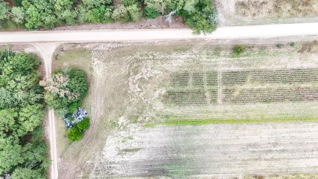 $145,000 | 0 Chavis Road, Blackville, SC 29817