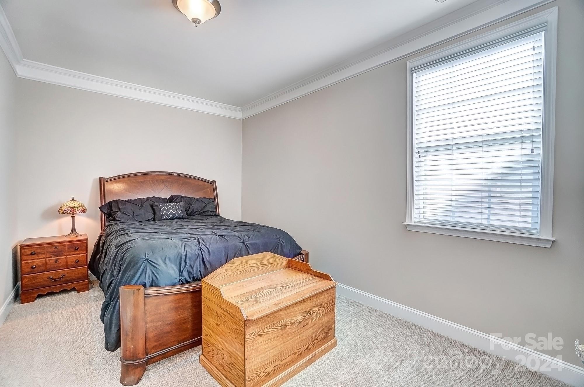 156 Annatto Way Tega Cay, SC 29708 - Photo 36 of 48 a bedroom with a bed and window