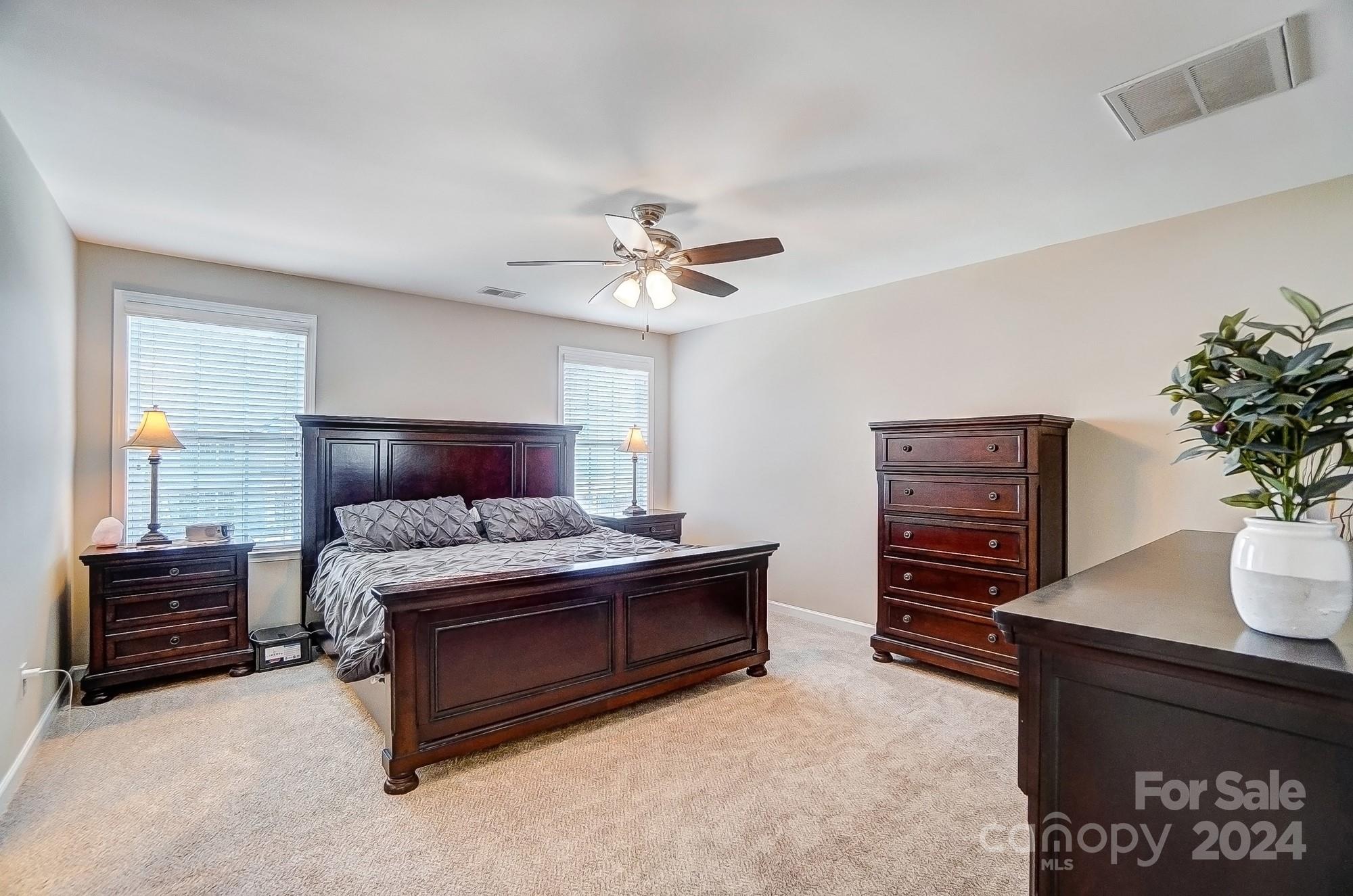 156 Annatto Way Tega Cay, SC 29708 - Photo 38 of 48 a bedroom with a bed dresser and a potted plant