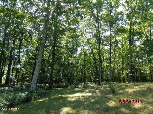 138 Weasel Road Dingmans Ferry, PA 18328 - Photo 4 of 17