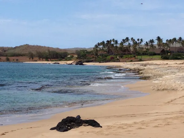$298,000 | 50 Kepuhi Place, Unit 238, Maunaloa, HI 96770