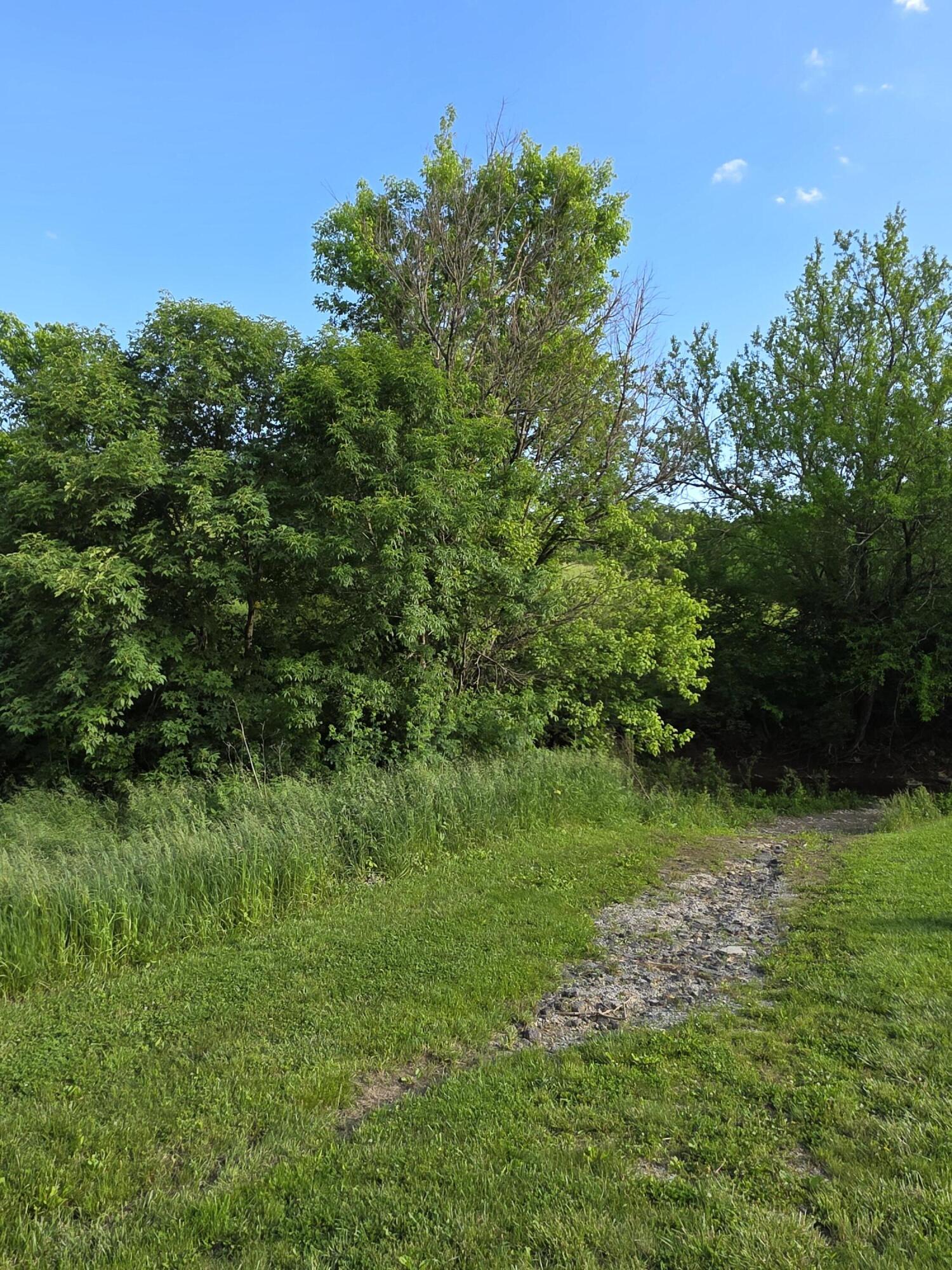 0 California Cross Road California, KY 41007 - Photo 6 of 17 Gallery Image 6