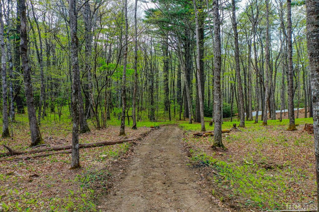 0 Jodytown Road Cashiers, NC 28717 - Photo 7 of 22 Gallery Image 7
