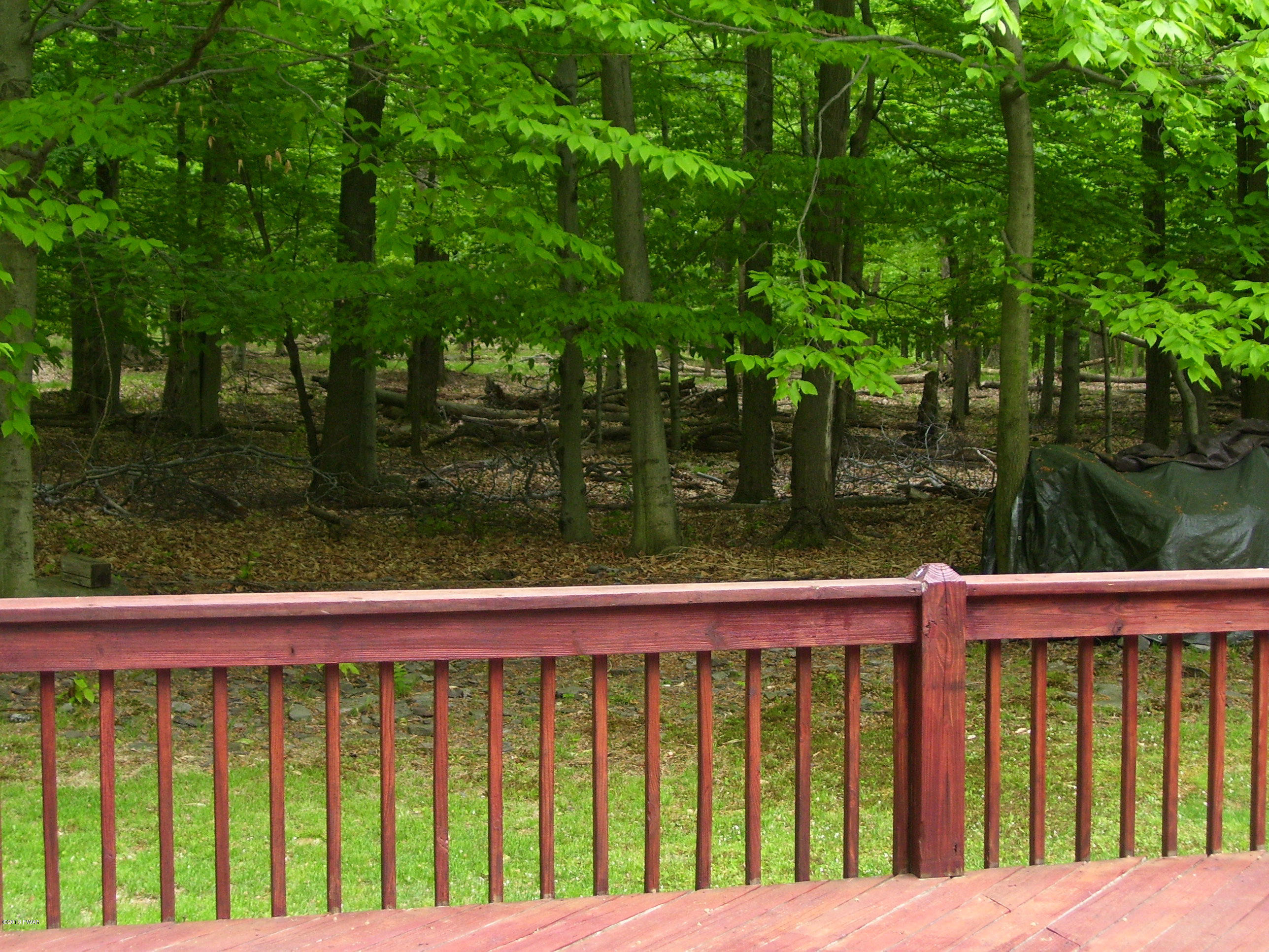 18 Deer Valley Road Lake Ariel, PA 18436 - Photo 30 of 58 Gallery Image 30