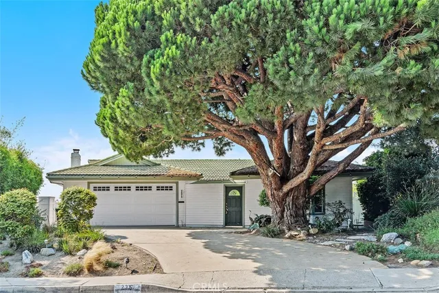 a front view of a house with a tree