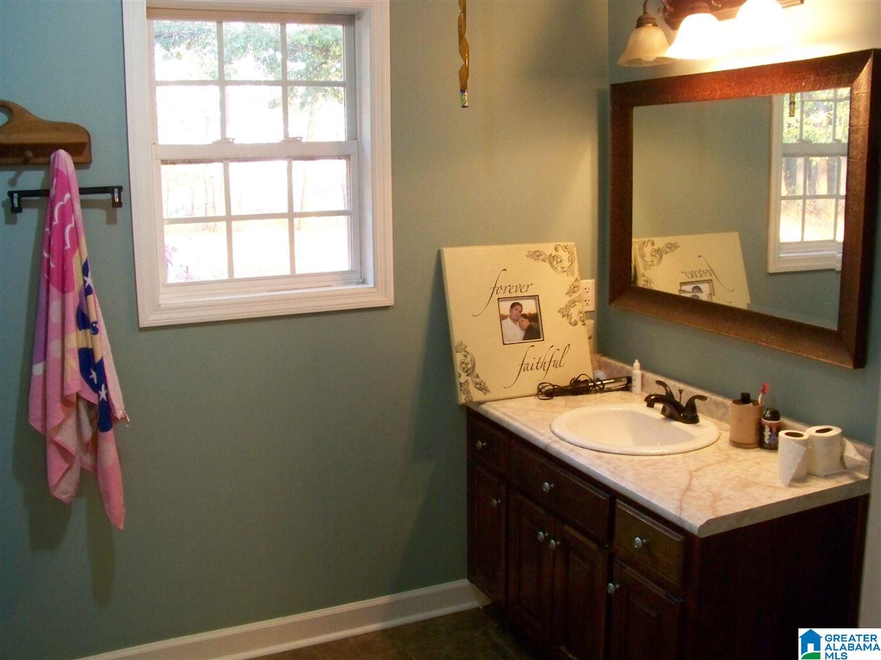 1321 Schoolhouse Road Baileyton, AL 35019 - Photo 11 of 12