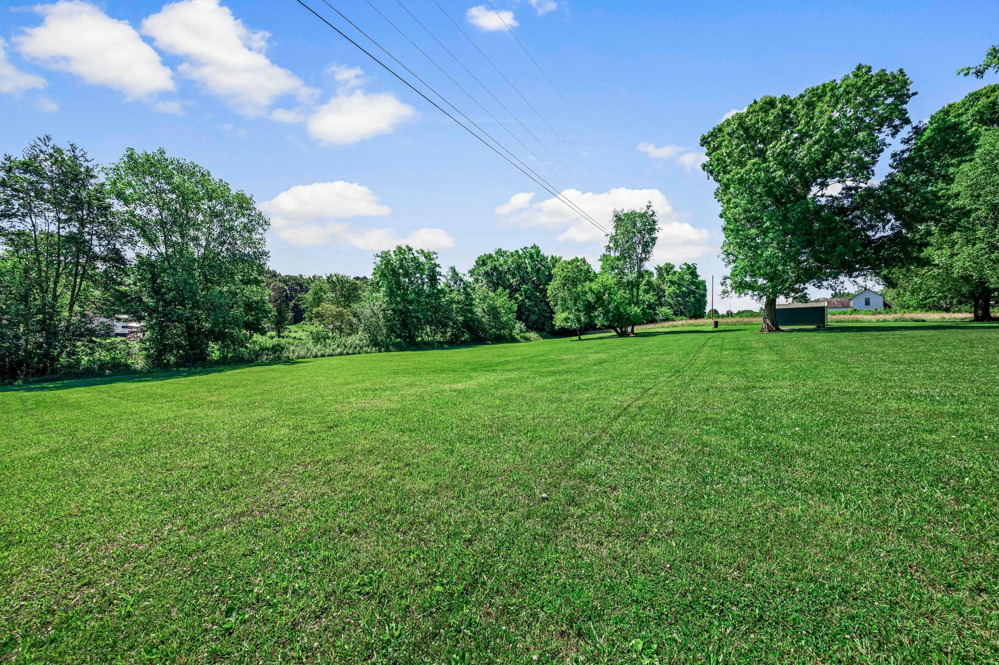 324 Jim Courtney Road Portland, TN 37148 - Photo 3 of 28 a view of a green yard