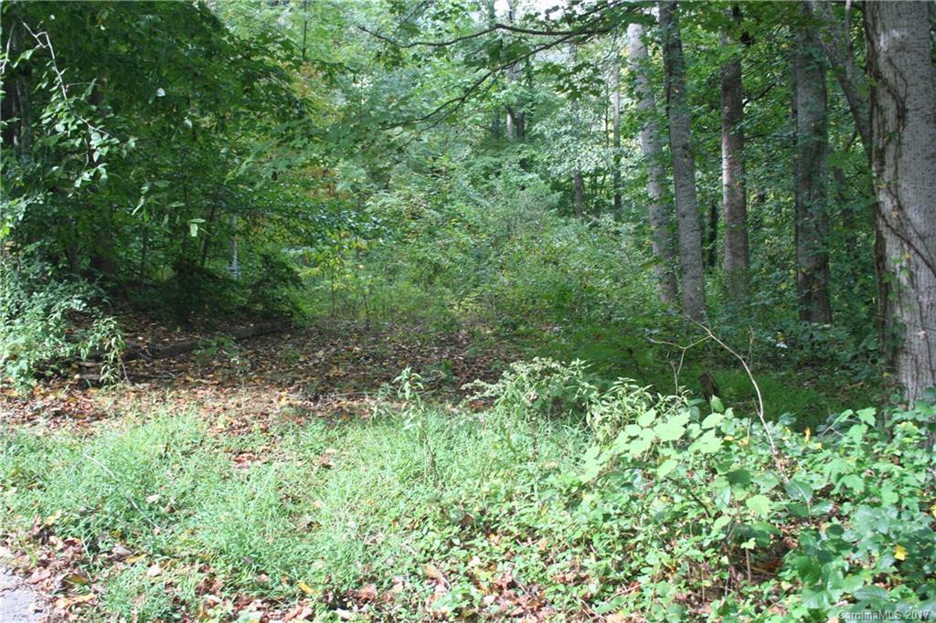 499 Patton Cove Road Swannanoa, NC 28778 - Photo 5 of 8 Gallery Image 5