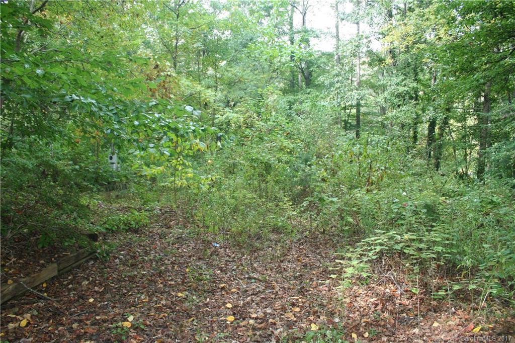 499 Patton Cove Road Swannanoa, NC 28778 - Photo 7 of 8 Gallery Image 7