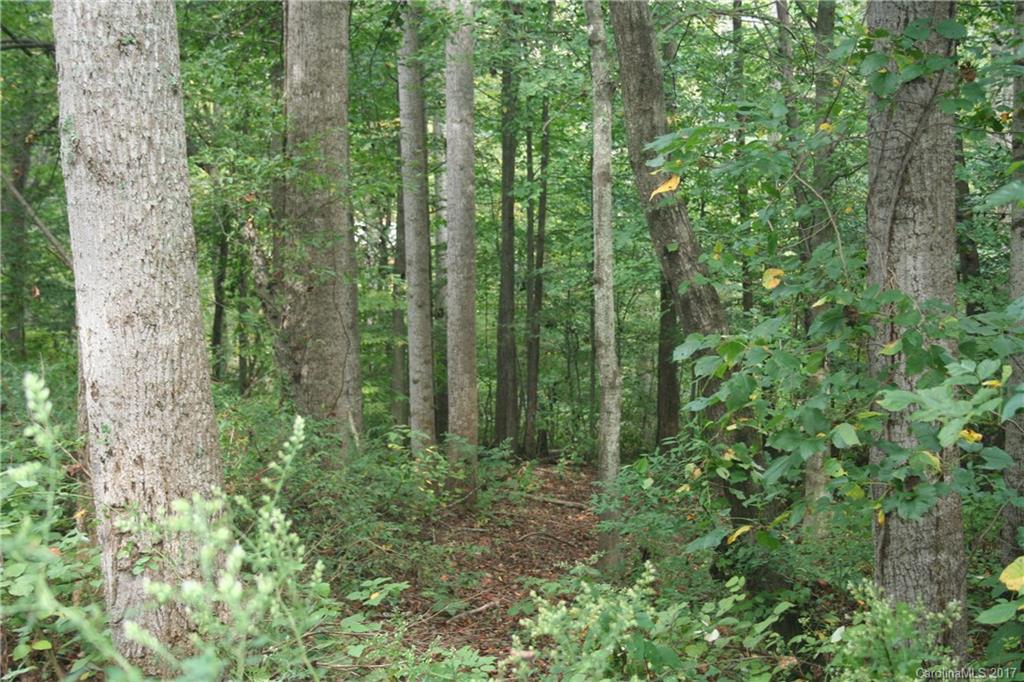 499 Patton Cove Road Swannanoa, NC 28778 - Photo 8 of 8 Gallery Image 8