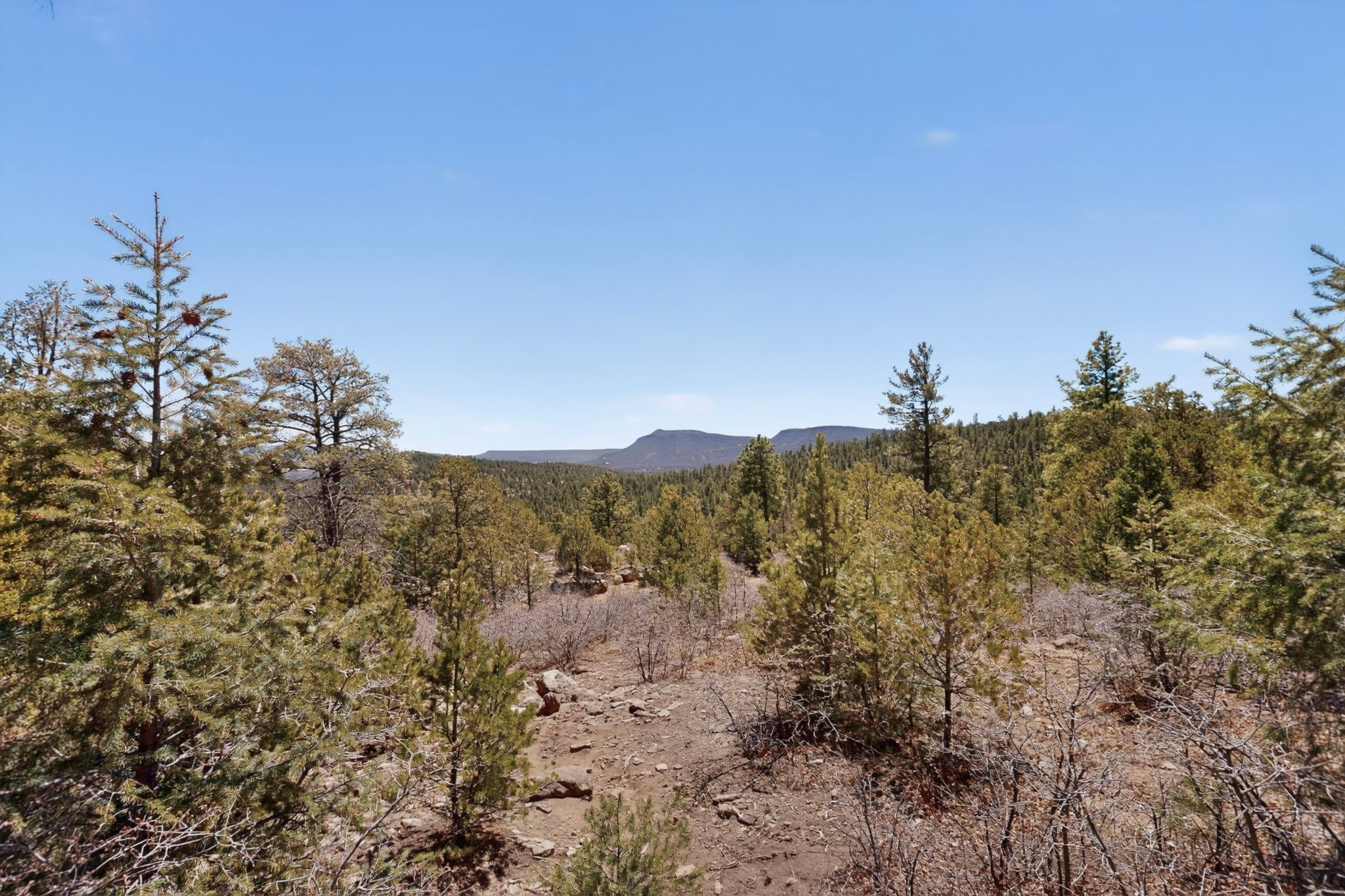 30 Monte La Cueva Road Glorieta, NM 87535 - Photo 28 of 91