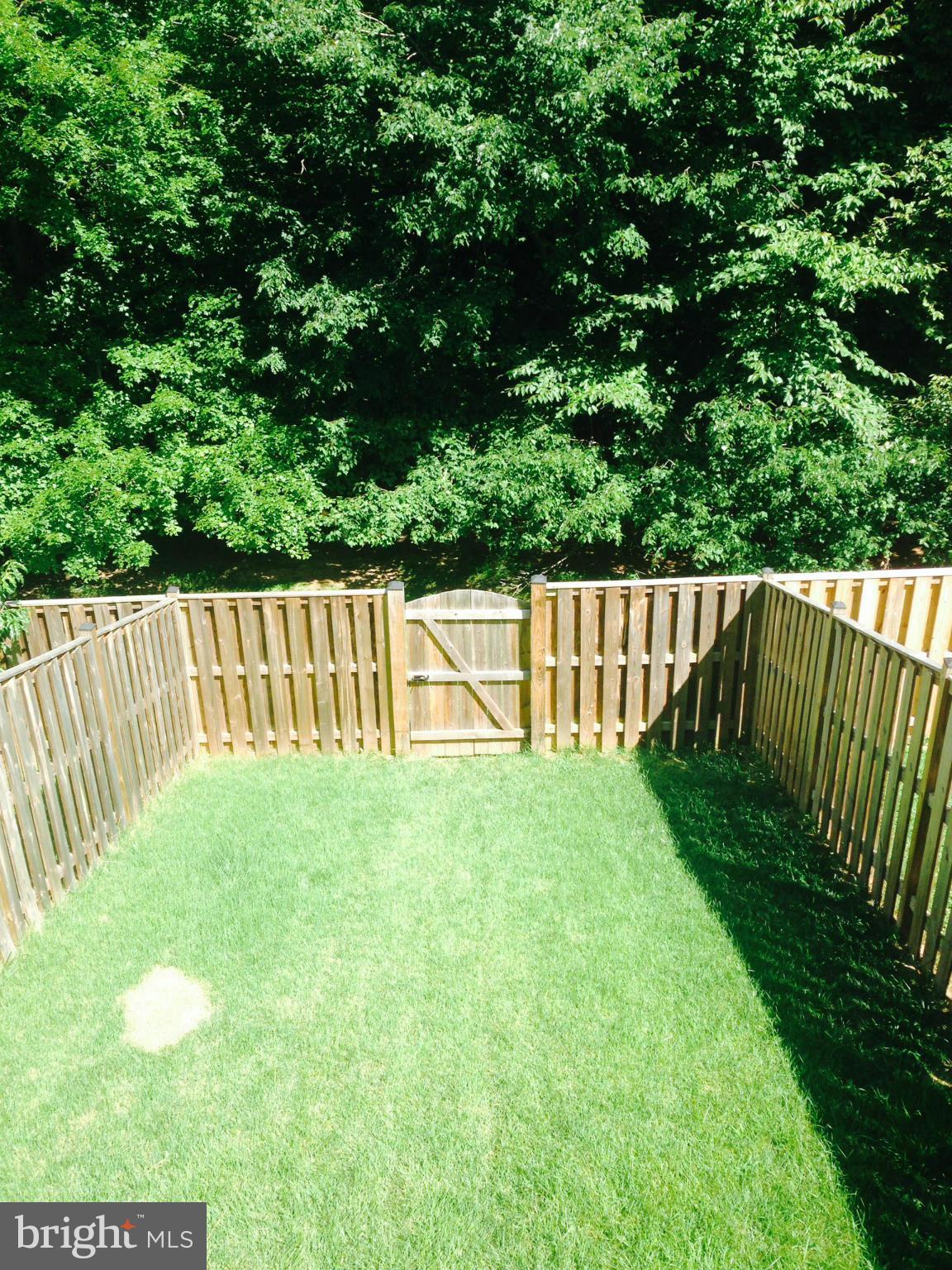7933 Pebble Brook Court Springfield, VA 22153 - Photo 16 of 18 a view of a backyard with a garden