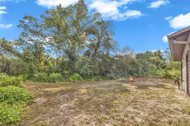 a view of a backyard with a tree