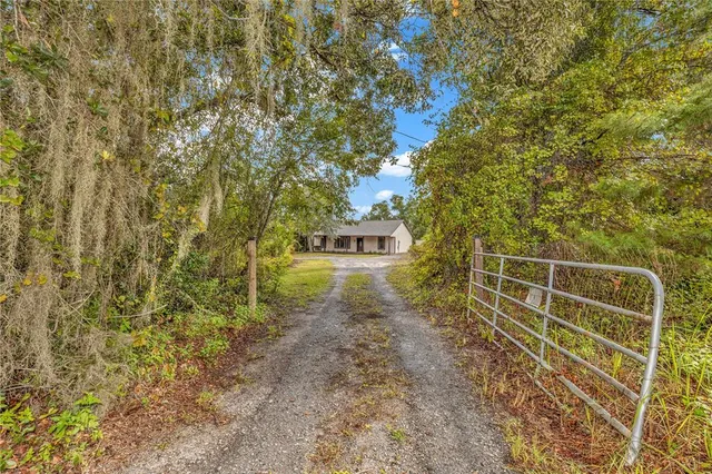 a view of a pathway with a tree