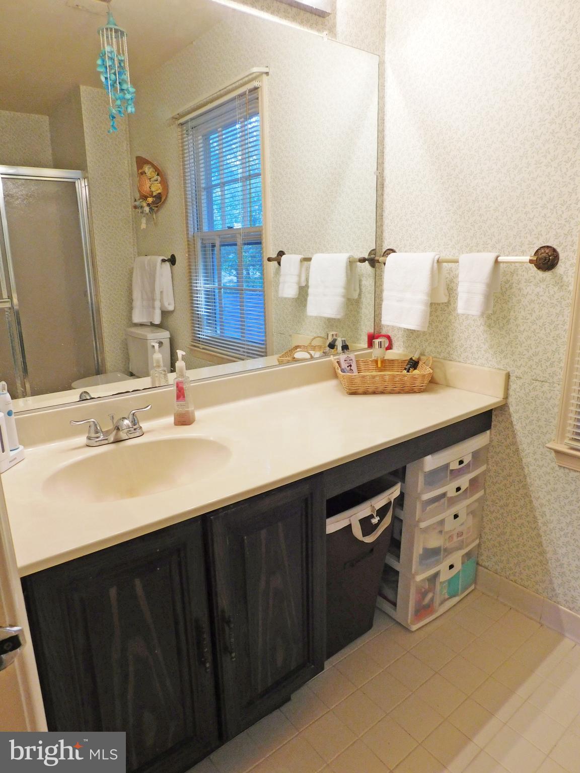 8925 Renshaw Court Springfield, VA 22153 - Photo 13 of 28 Primary Bath - view 1