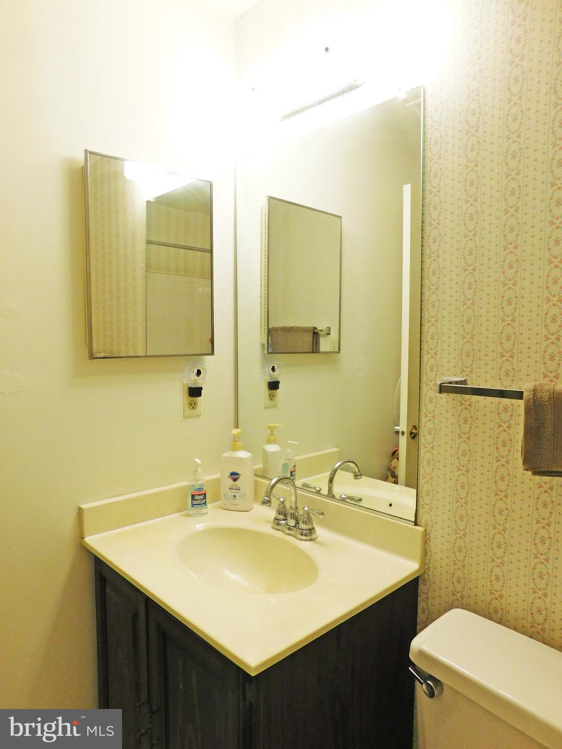 8925 Renshaw Court Springfield, VA 22153 - Photo 21 of 28 Hall Full Bath - view 2