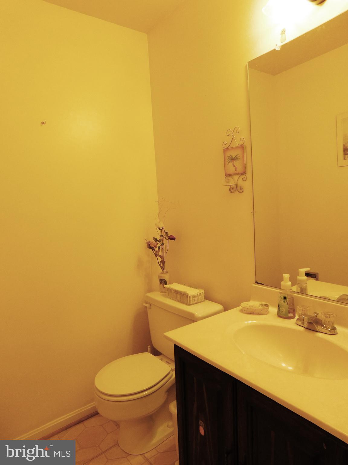 8925 Renshaw Court Springfield, VA 22153 - Photo 22 of 28 Main Level Powder Room