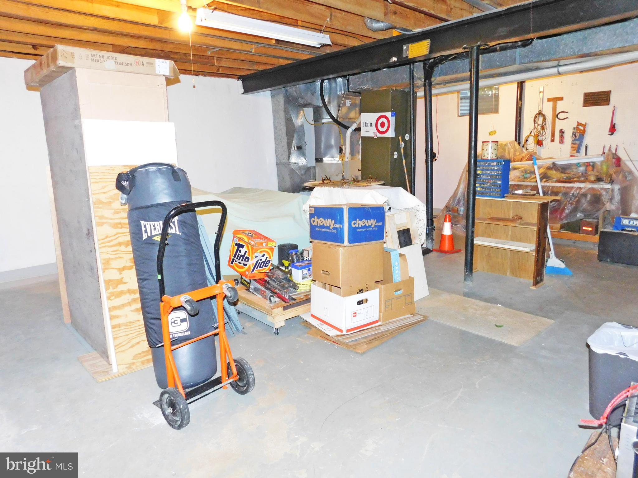 8925 Renshaw Court Springfield, VA 22153 - Photo 23 of 28 Full Basement -storage/workshop/fitness/craft area