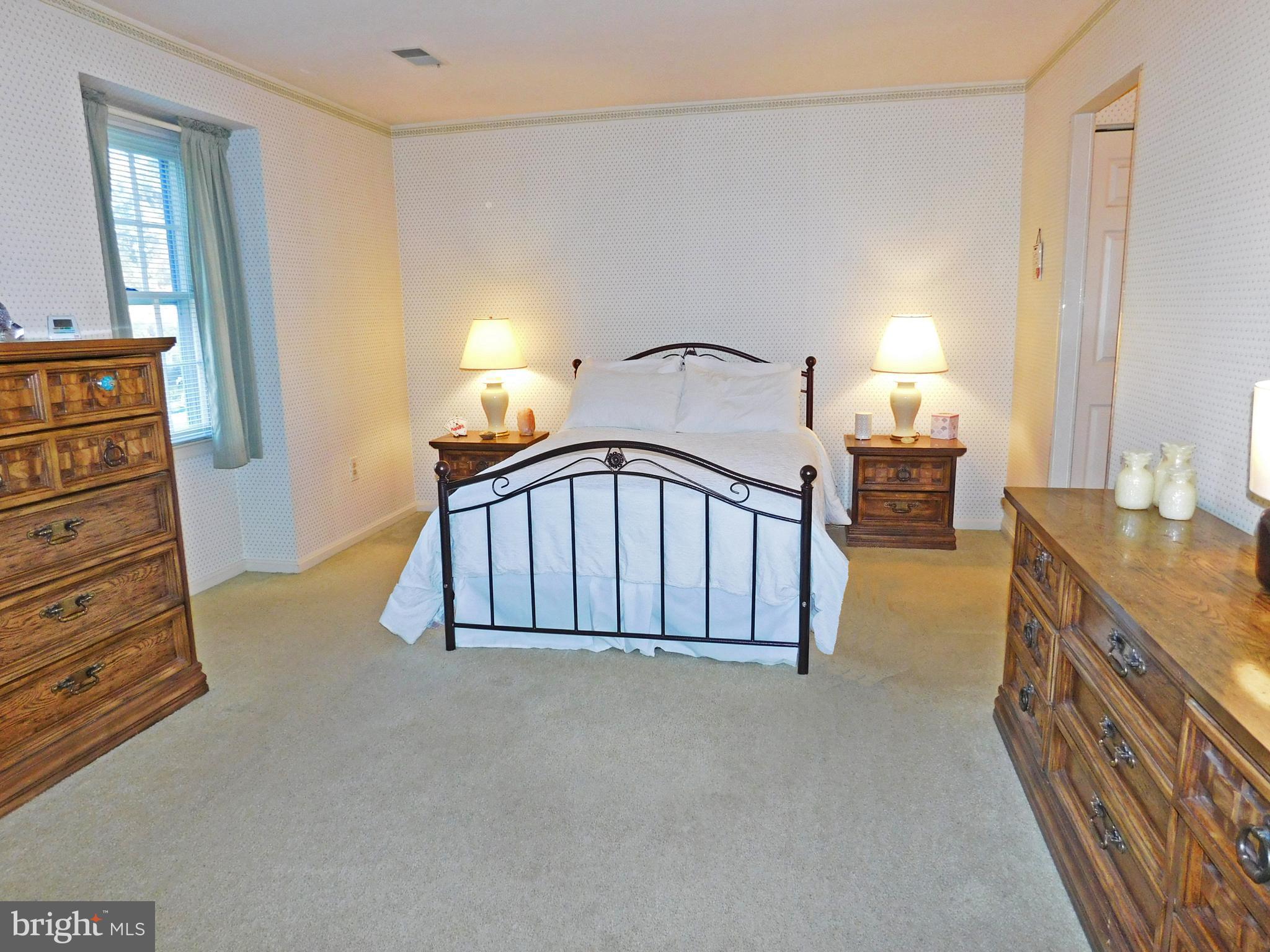8925 Renshaw Court Springfield, VA 22153 - Photo 10 of 28 Primary Bedroom - sunny, ample room for king bed