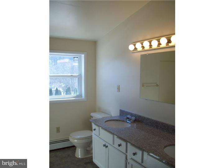 909 Ridgeway Road Birdsboro, PA 19508 - Photo 16 of 20 Bathroom