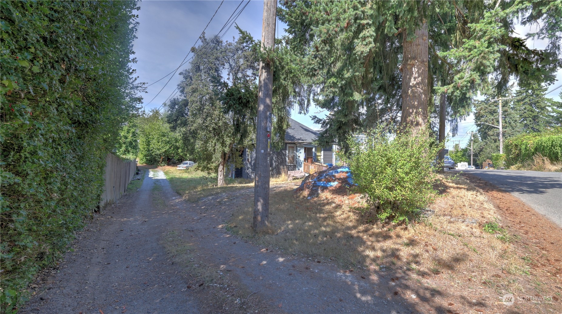 4001 Renton Avenue South Seattle, WA 98108 - Photo 4 of 29 a view of a forest with trees