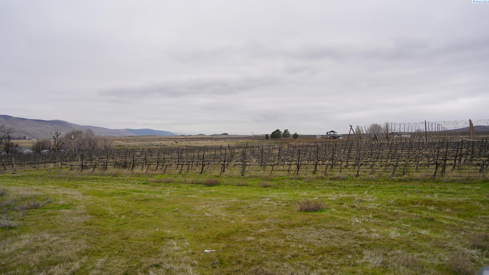 Nka West Knox Road Benton City, WA 99320 - Photo 6 of 26 Gallery Image 6