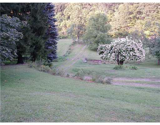 187 Little Meadow Run Road Mount Morris, PA 15349 - Photo 2 of 10 Land.