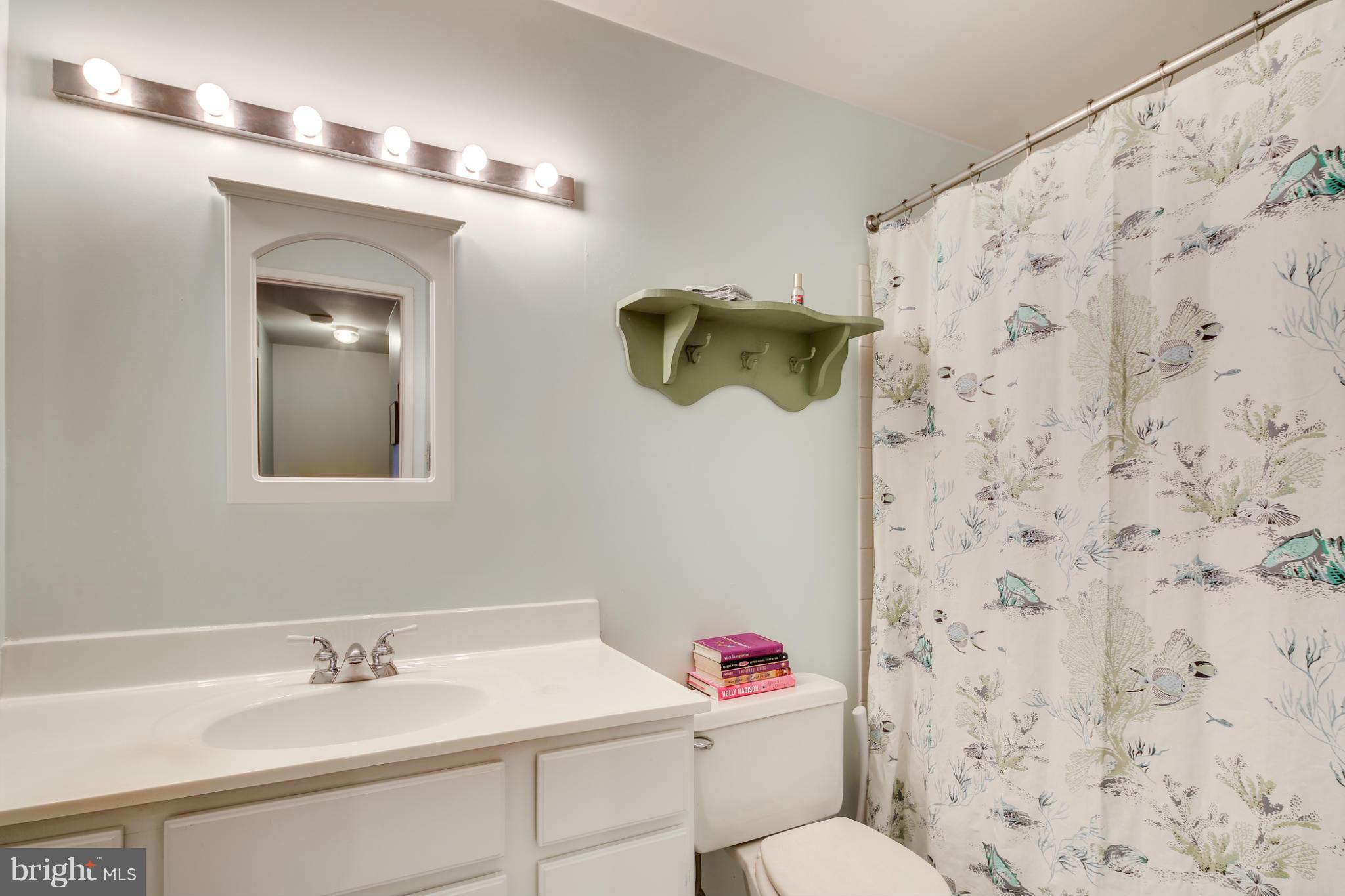 9773 Early Spring Way Columbia, MD 21046 - Photo 20 of 29 Bath