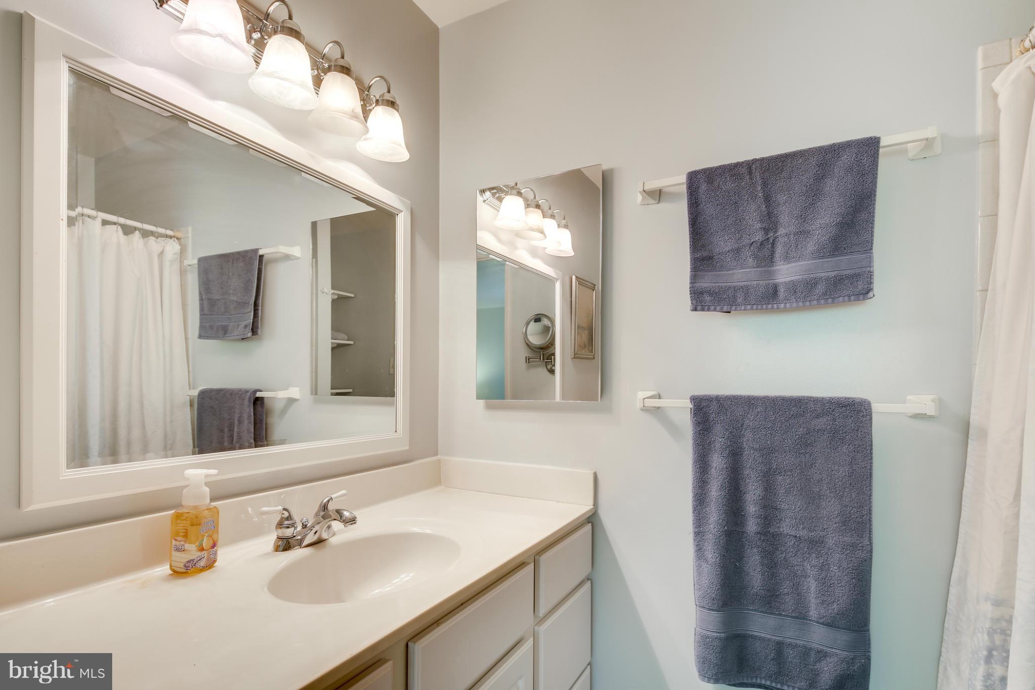 9773 Early Spring Way Columbia, MD 21046 - Photo 22 of 29 Bath (Master)