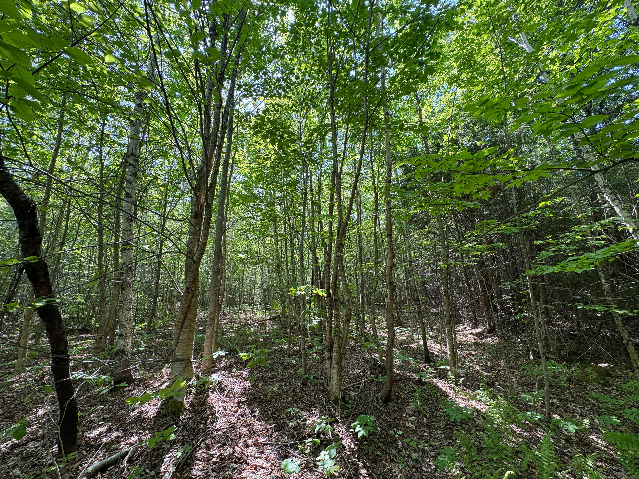 M1-l2 Bunker Hill Road Lagrange, ME 04453 - Photo 6 of 13 6