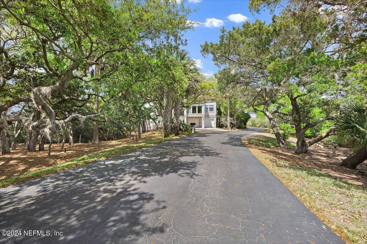 3419 Lands End Drive St. Augustine, FL 32084 - Photo 51 of 59 a view of a yard with plants and trees