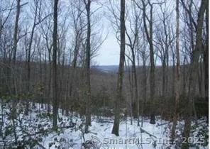 a view of backyard with green space