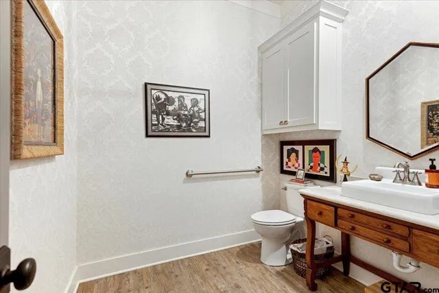 a bathroom with a toilet a sink and a mirror